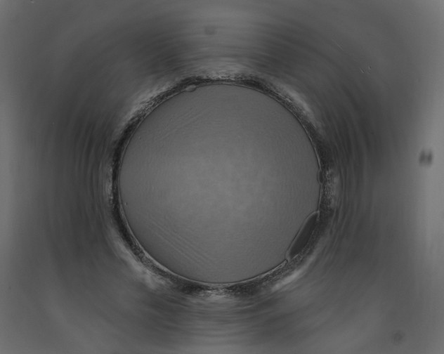 X0000092110589200710101145