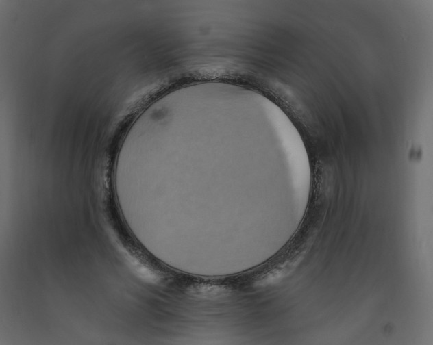 X0000092110590200710101145
