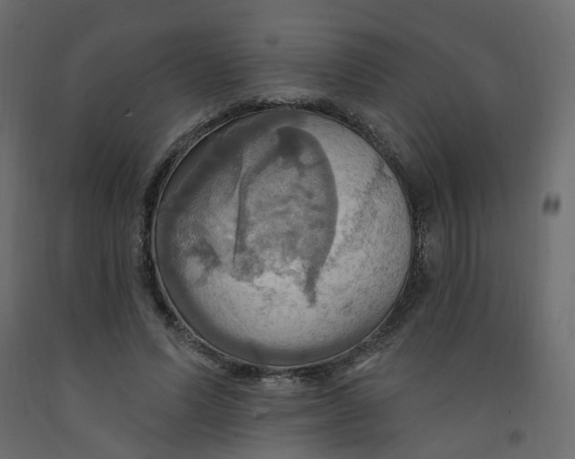 X0000092110591200710101145