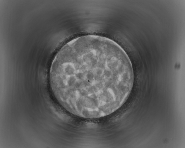 X0000092110592200710101145