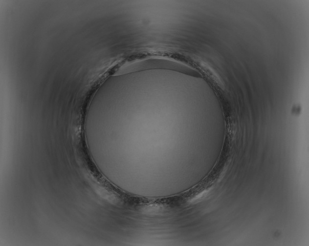 X0000092110593200710101145