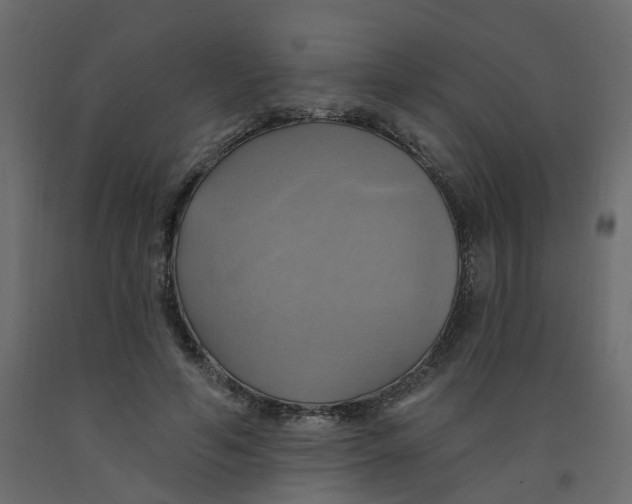 X0000092110594200710101145