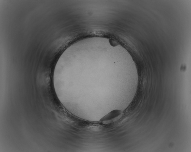 X0000092110595200710101145