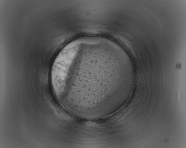 X0000092110596200710101145