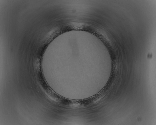 X0000092110598200710101145
