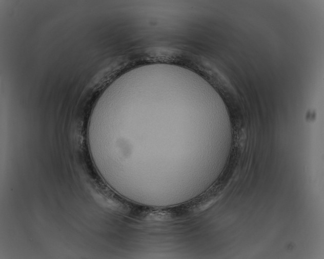 X0000092110599200710101145