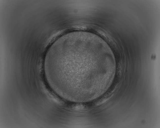 X0000092110600200710101145