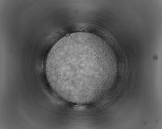 X0000092110602200710101145
