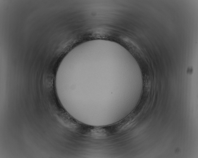 X0000092110603200710101145