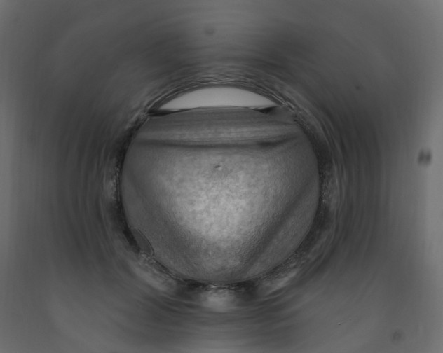 X0000092110604200710101145