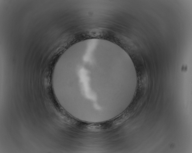 X0000092110606200710101145
