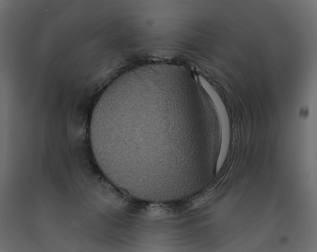 X0000092110608200710101145