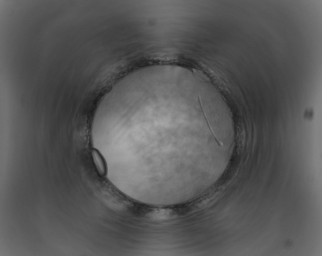 X0000092110609200710101145