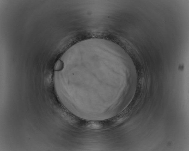 X0000092110610200710101145