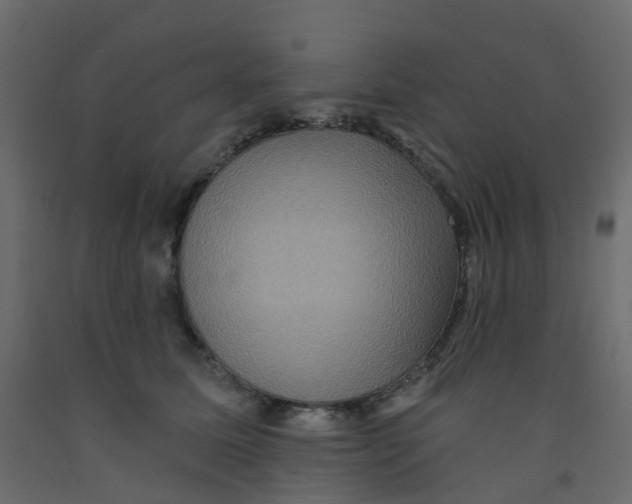 X0000092110611200710101145