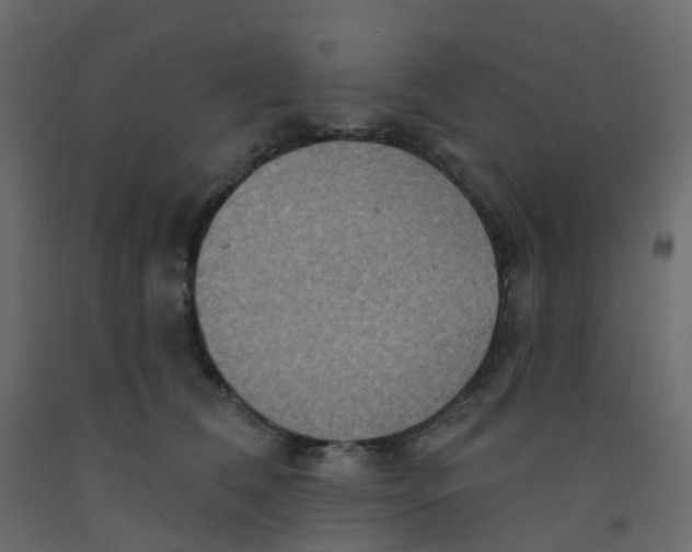X0000092110612200710101145