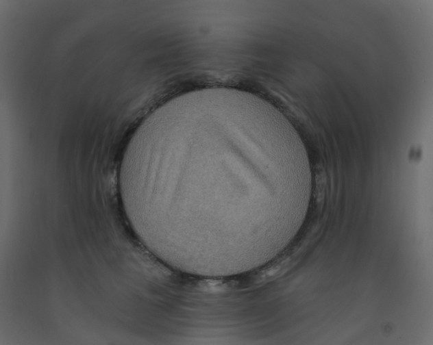 X0000092110613200710101145