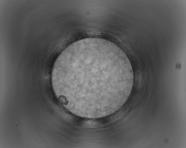 X0000092110614200710101144