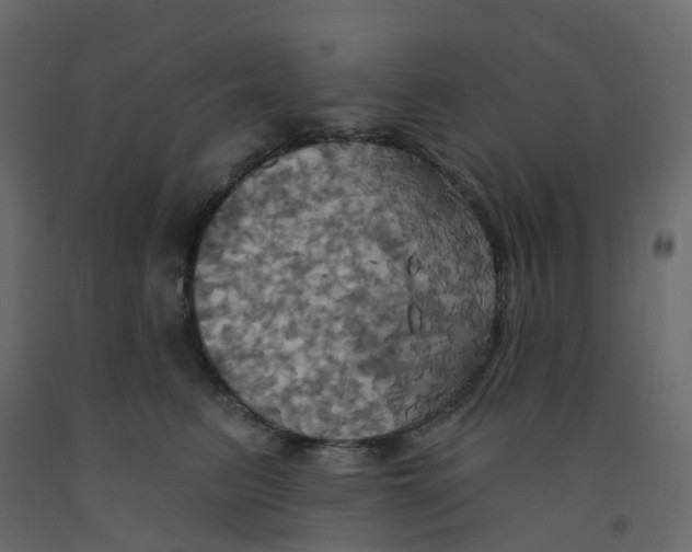 X0000092110615200710101144