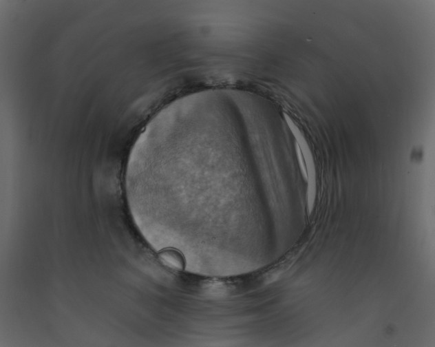 X0000092110616200710101144
