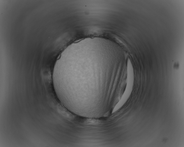 X0000092110617200710101144