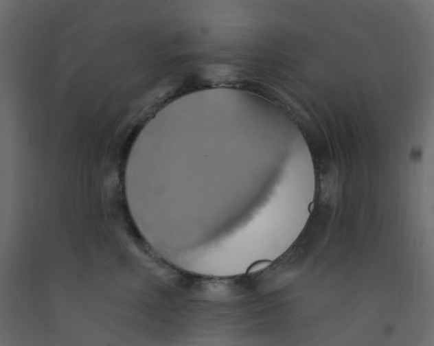 X0000092110618200710101144