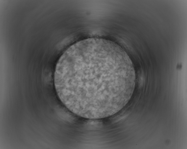 X0000092110619200710101144