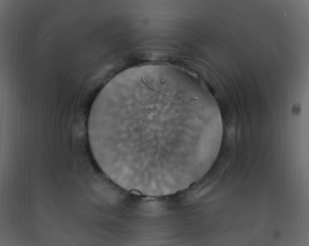 X0000092110620200710101144