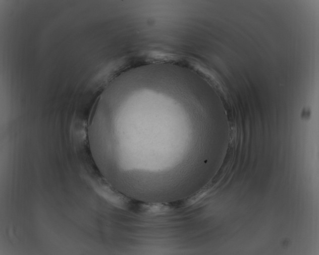X0000092110621200710101144