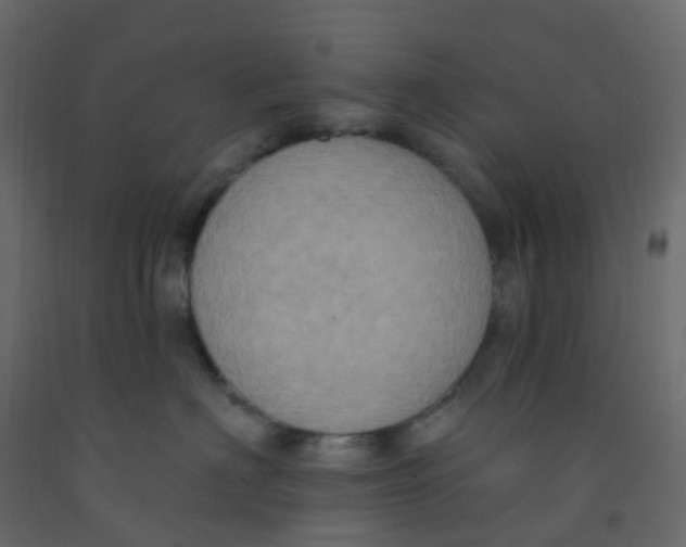 X0000092110622200710101144