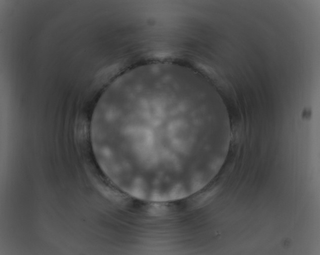 X0000092110623200710101144
