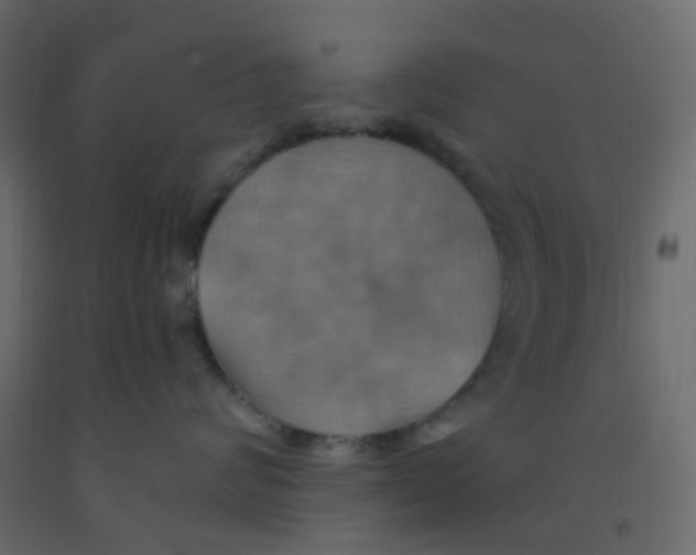 X0000092110624200710101144