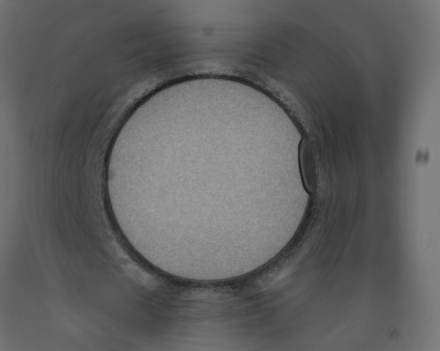 X0000092110625200710101144