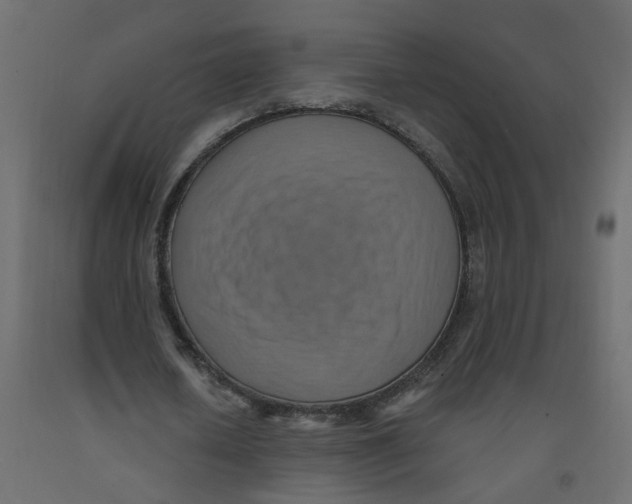 X0000092110626200710101144