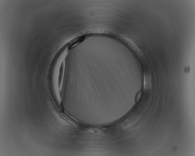 X0000092110627200710101144