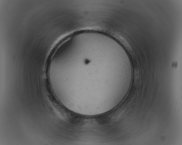 X0000092110628200710101144