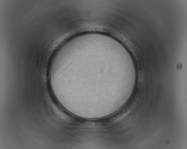 X0000092110629200710101144