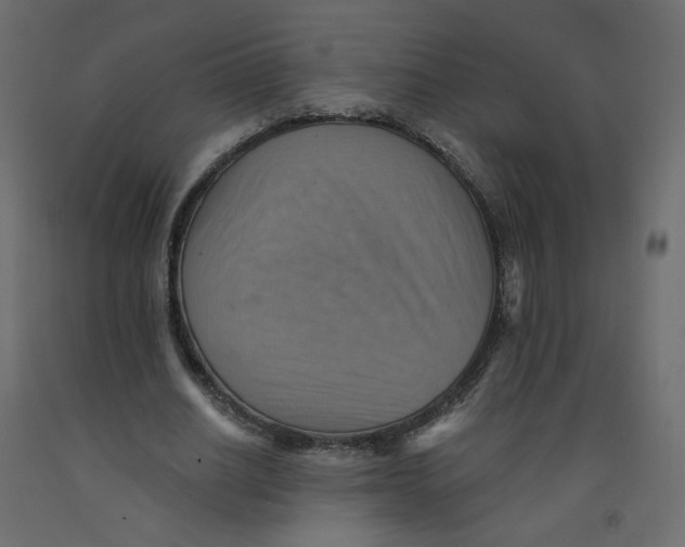 X0000092110630200710101144