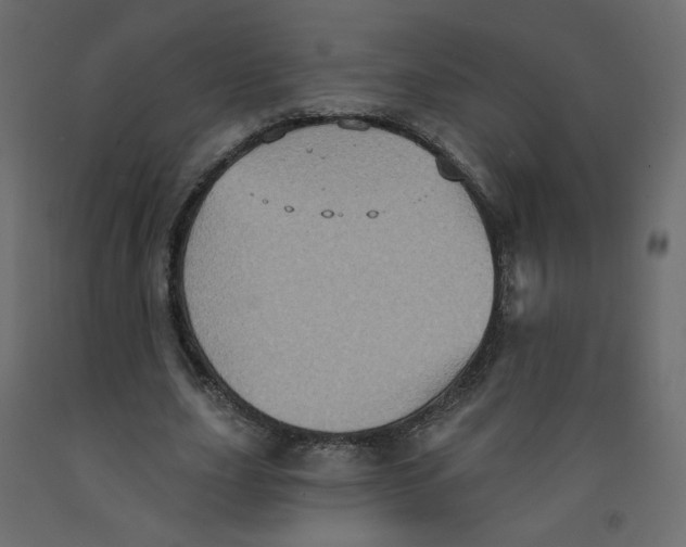 X0000092110631200710101144