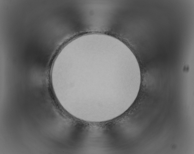 X0000092110632200710101144