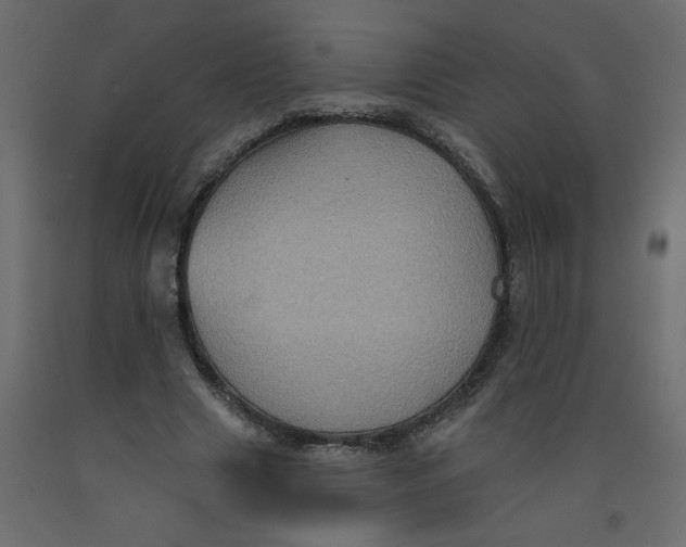 X0000092110633200710101144