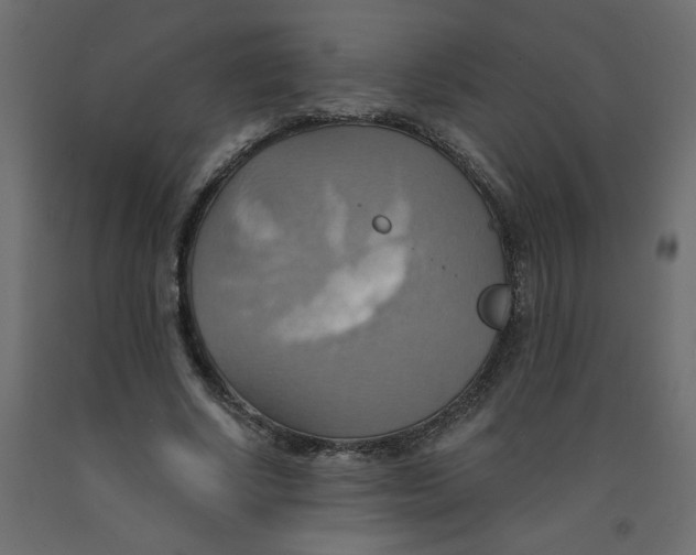 X0000092110634200710101144