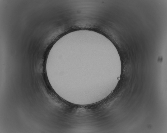 X0000092110635200710101144