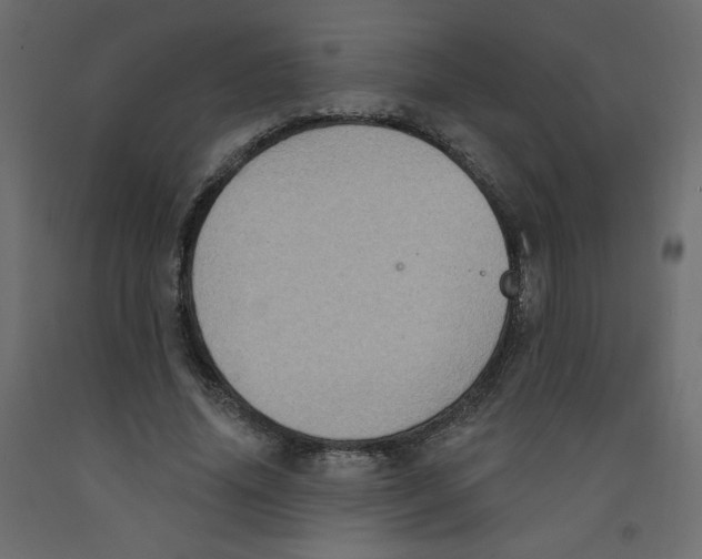 X0000092110636200710101144