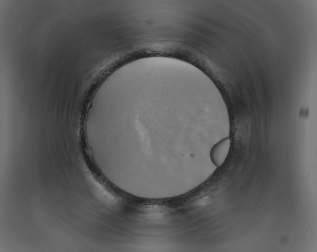 X0000092110637200710101144