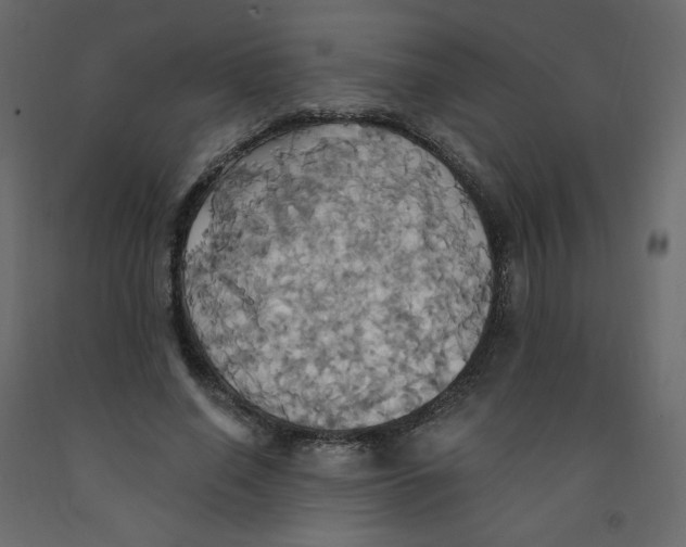 X0000092110638200710101144