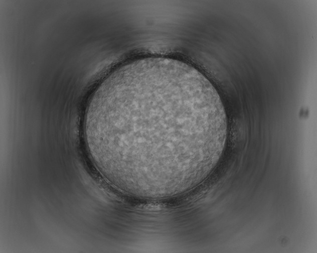X0000092110639200710101144