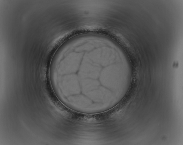 X0000092110640200710101144