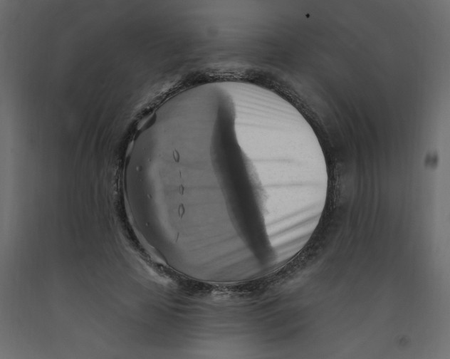 X0000092110641200710101144