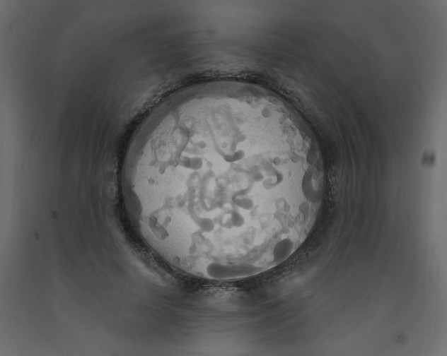 X0000092110642200710101144